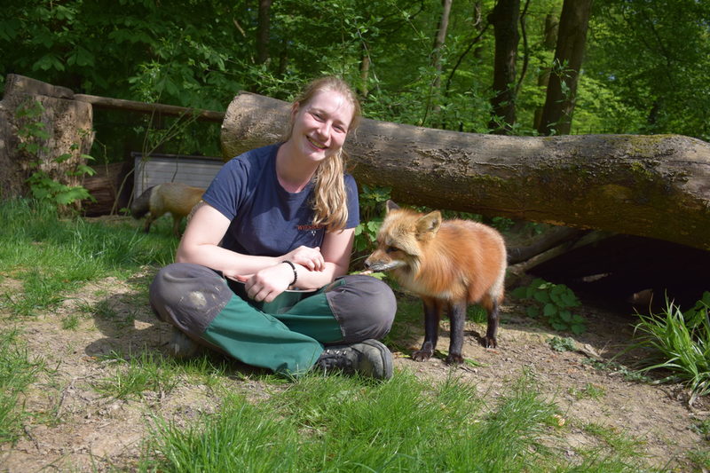 Tierpflegerin (m/w/d) Fachrichtung Zootierpflege